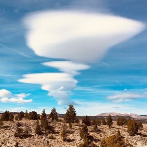 Meet your Posher, Johnny